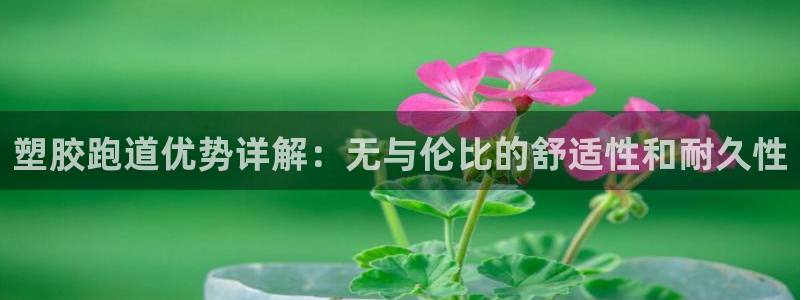 尊龙2021年最新消息
