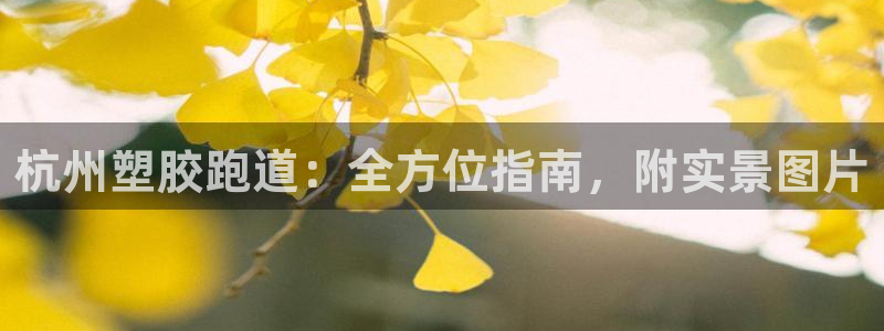 ag尊龙凯时官网：杭州塑胶跑道：全方位指南，附实景图