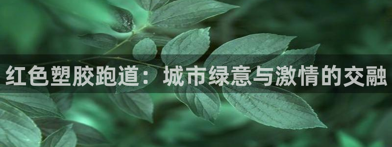 尊龙凯时app安装