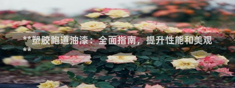 凯时网址多少：**塑胶跑道油漆：全面指南，提升性能和