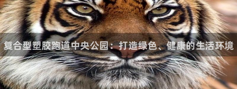 凯时app赢AG发财网来就送38