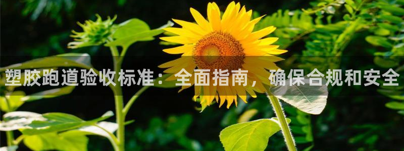 尊龙官网下载：塑胶跑道验收标准：全面指南，确保合规和安全