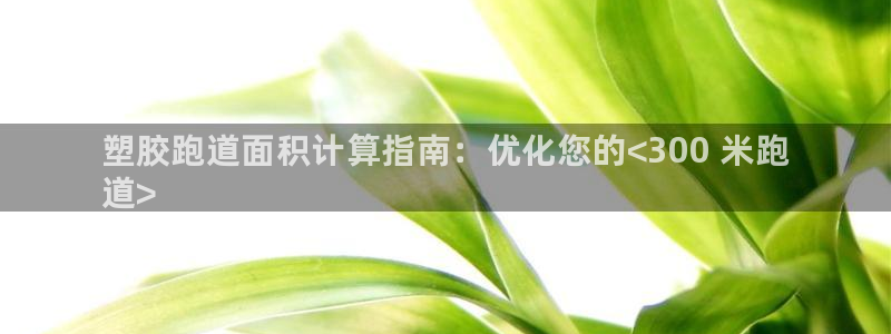 尊龙凯时电竞注册：塑胶跑道面积计算指南：优化您的<300 米
