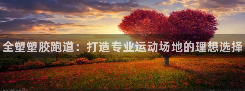 尊龙凯时平台不给出款怎么办：全塑塑胶跑道：打造专业运动场地的理想选择