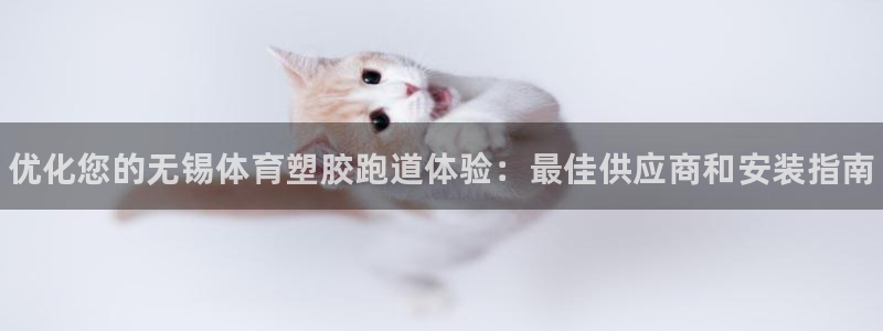 尊龙体育直接访问agbaofu.wang|ag暴富网：优化您的无锡体育塑胶跑道体验：最佳供应商和安装指南