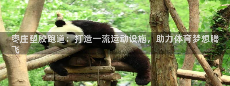 尊龙网址是选访问zd207：枣庄塑胶跑道：打造一流运动设施，