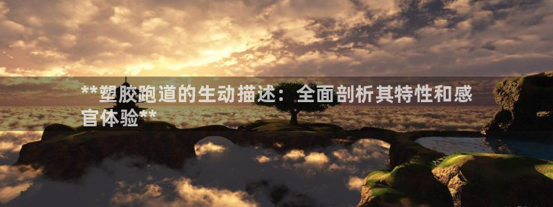 尊龙凯时平台正规吗：**塑胶跑道的生动描述：全面剖析