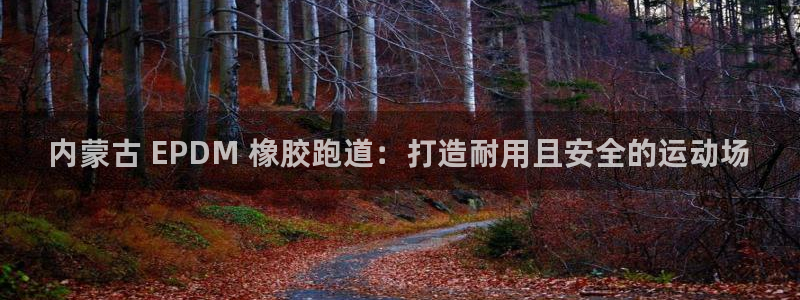 尊龙现金d88：内蒙古 EPDM 橡胶跑道：打造耐用且安全的