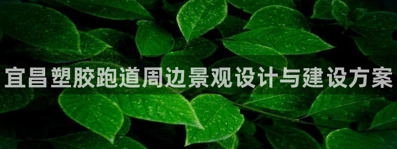 尊龙凯时网娱乐官网