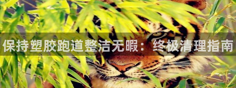 尊龙凯时人生就是搏z6com