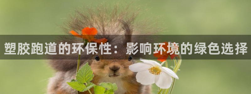 凯时最新官方APP下载：塑胶跑道的环保性：影响环境的绿色选择