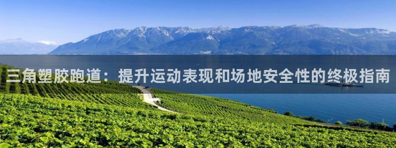 尊龙凯时链接：三角塑胶跑道：提升运动表现和场地安全性