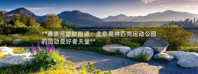 尊龙400：**通惠河塑胶跑道：北京奥林匹克运动公园
的运动爱好者天堂**