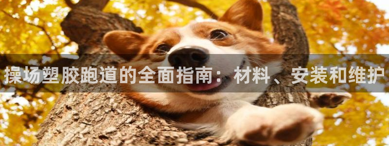 尊龙凯时百万奖池：操场塑胶跑道的全面指南：材料、安装