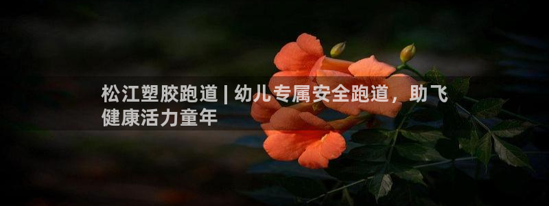 尊龙人品怎么样：松江塑胶跑道 | 幼儿专属安全跑道，