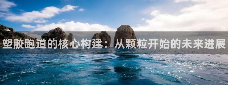 尊龙app登录不了