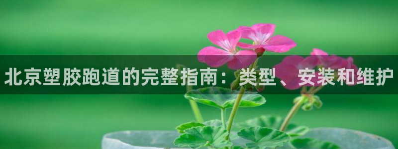 凯时APP官网首页：北京塑胶跑道的完整指南：类型、安装和维护
