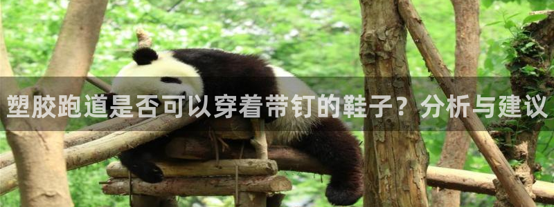 ag尊龙凯时集团：塑胶跑道是否可以穿着带钉的鞋子？分析与建议